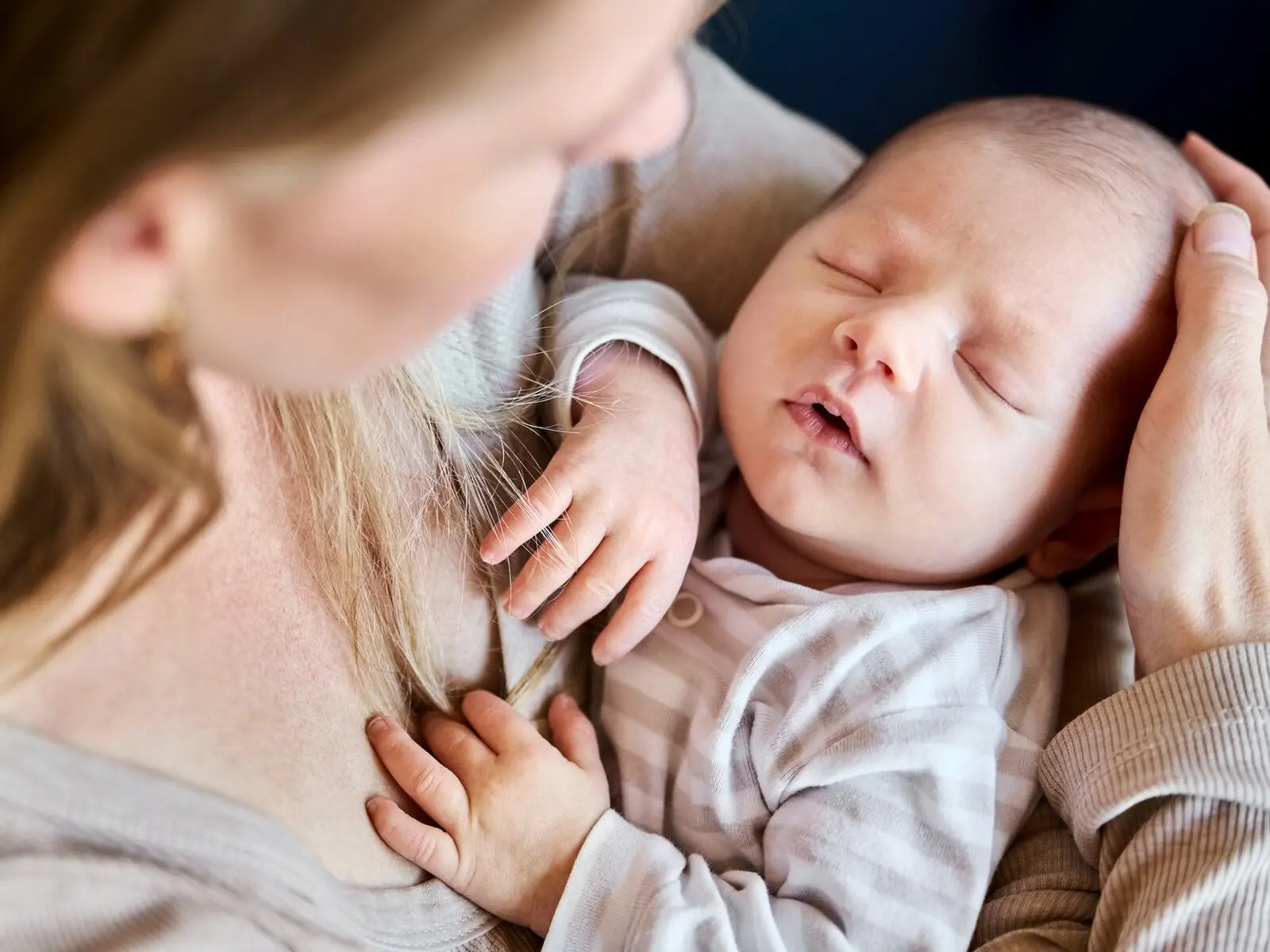 سهم الارث نوزاد تازه متولد شده